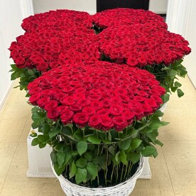 Красные розы в плетенной корзине