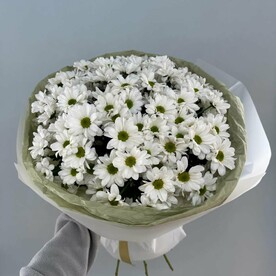 Моно букет Хризантем