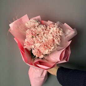 Букет 11 розовых диантусов