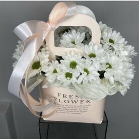 Сумочка с ромашками