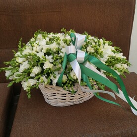 Фрезия в корзине