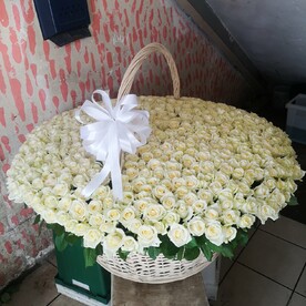 501 белые розы в корзине