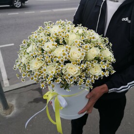 Ромашка с розами