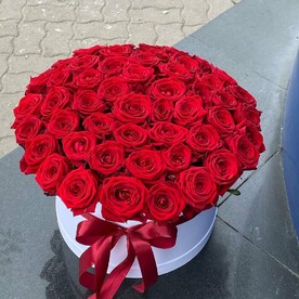 51 розы в коробке