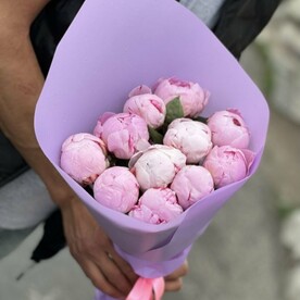 Пионы сара Бернар