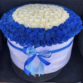 Синий кольцо