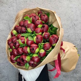 Бордовые пионы