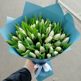 Букет из белых тюльпанов