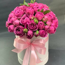 Мисти баблс