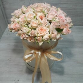 Нежная рапсодия