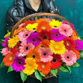 Гербер в корзине