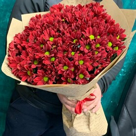 Хризантема ромашковая кустовая