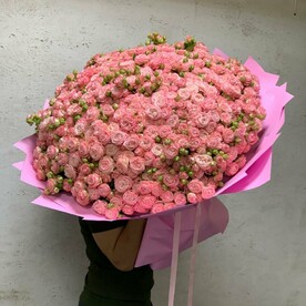 201 роза кустовая