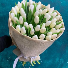 Тюльпаны белые