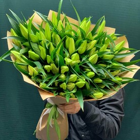 Лилия белая