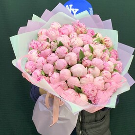 Пионы розовые 51