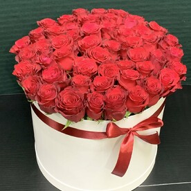 Роза красная 51 в коробке