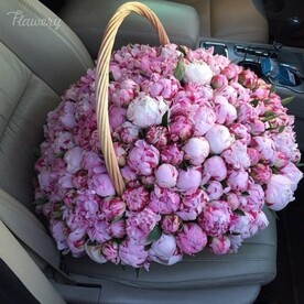 Доброе утро!