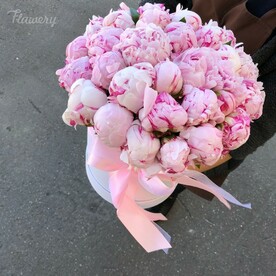 Спеши любить