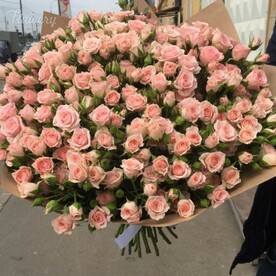 Цветение персика