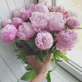 Букет из пионов