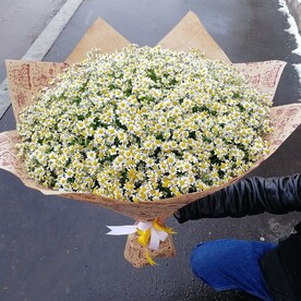 Букет из ромашки.