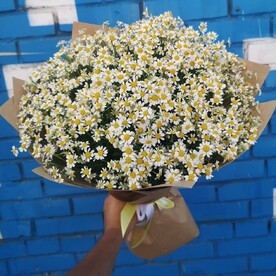 Букет из ромашки