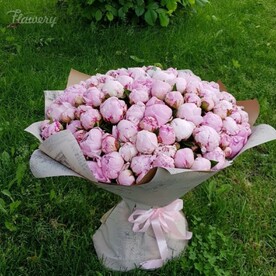 Букет из 101 пионов