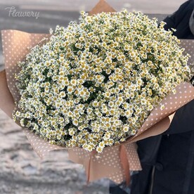 Букет из ромашки.