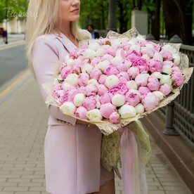 Любовь фламинго.