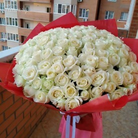 Румяная заря.