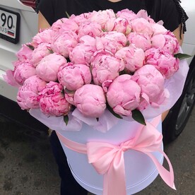 Летний дар.