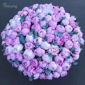 Пионы розовые, Зелень эвкалипт, Флористическая губка, Корзина