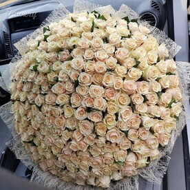 Букет из 251, розы.