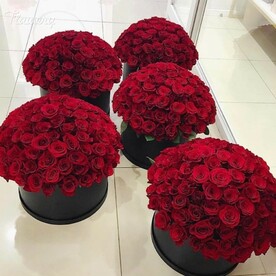 505 розы (в шляпной коробке)