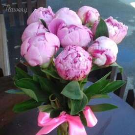 Букет из пионов.