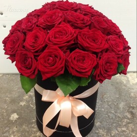 Красота (в шляпной коробке)