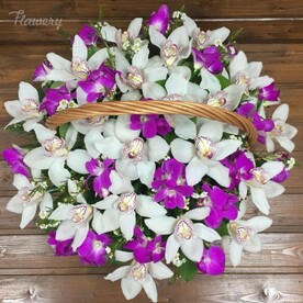 Ночь на перекрестке (в корзине)