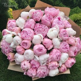 Пион, Упаковка крафт