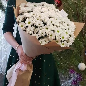 Хризантема ромашковая кустовая белая, Крафт