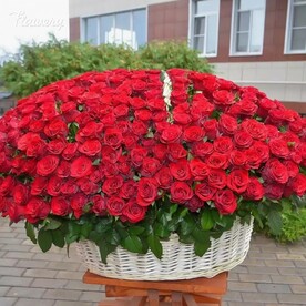 Долгожданное счастье.