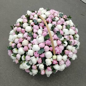 "жемчужина души"