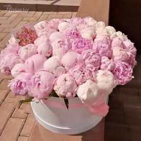 Розовое утро