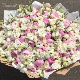 Ясное утро.