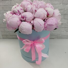 Нежный шелест