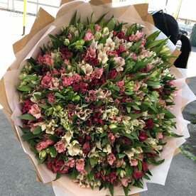 Микс альстромерия