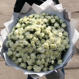 Кустовые розы