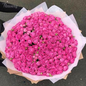 Мисти баблз