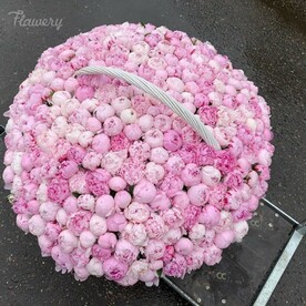 Эпоха невинности