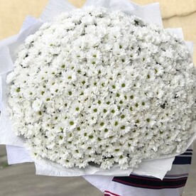 Белый шарик